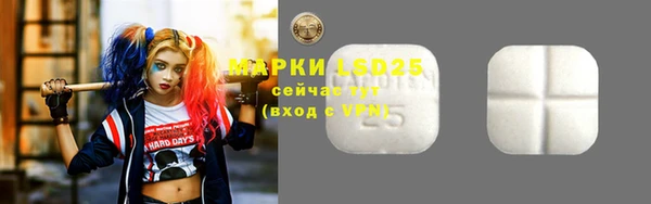 гашик Майский