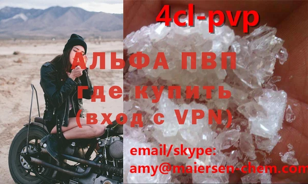 гашик Майский