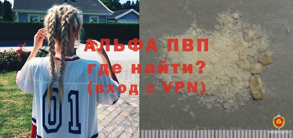 гашик Майский