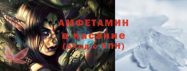 гашик Майский