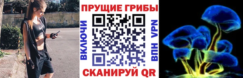Псилоцибиновые грибы ЛСД  Купить  Бабушкин 